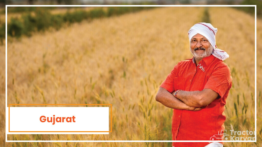 Top Wheat Producing States - Gujarat