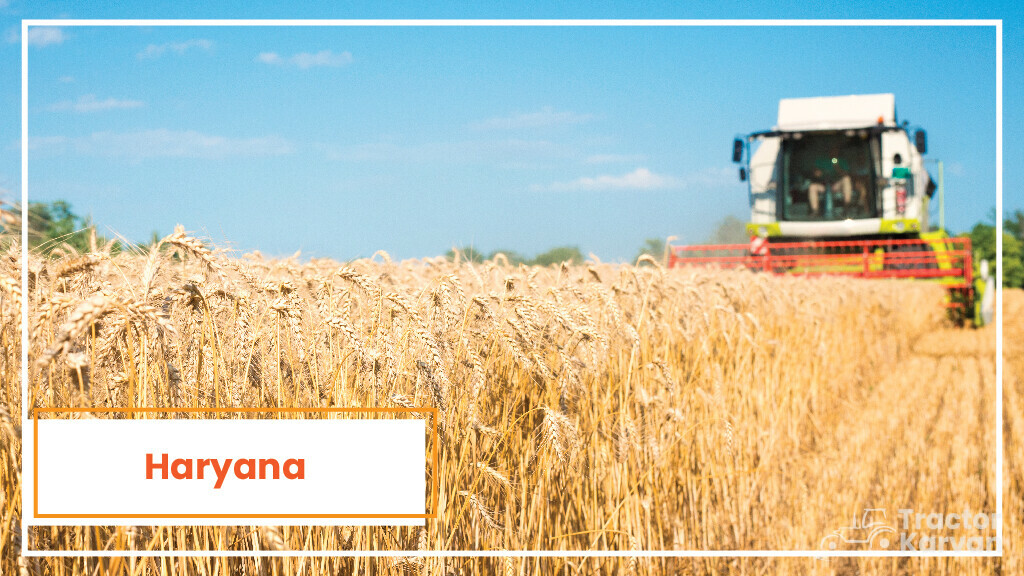 Top Wheat Producing States - Haryana