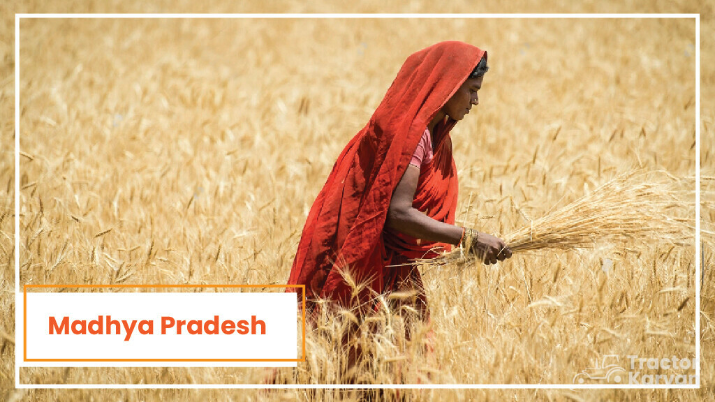 Top Wheat Producing States - Madhya Pradesh