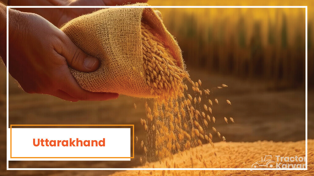 Top Wheat Producing States - Uttarakhand