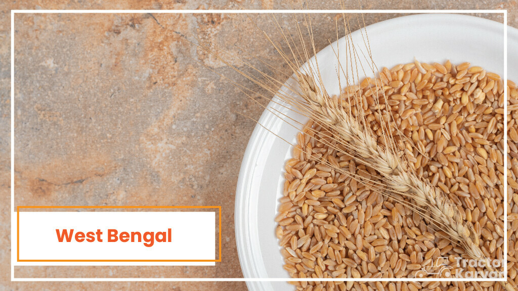 Top Wheat Producing States - West Bengal