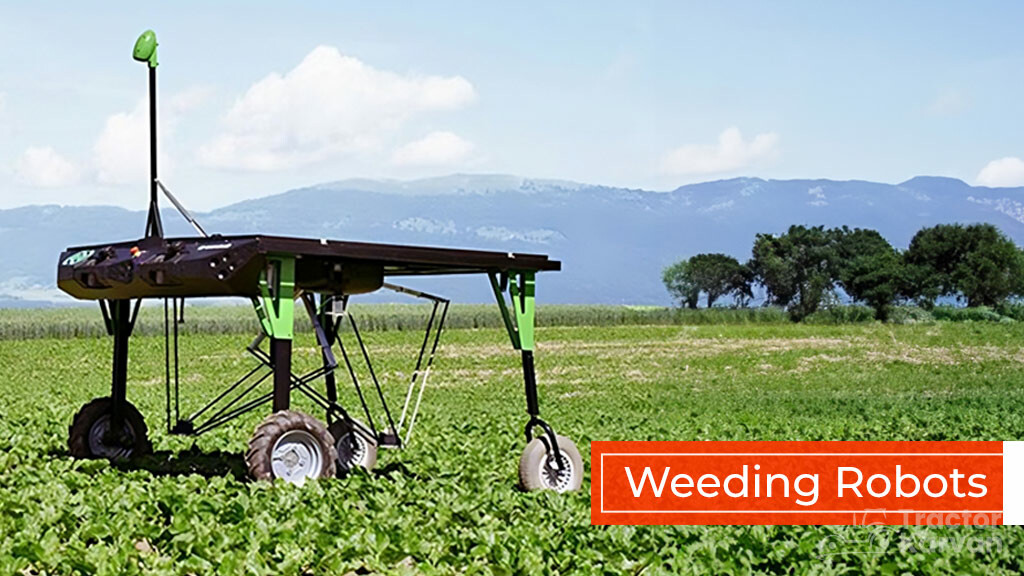 Agriculture Robot Types - Weeding Robots