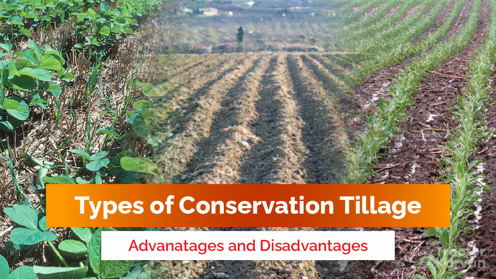 Advantages And Disadvantages Of Conservation Tillage Types