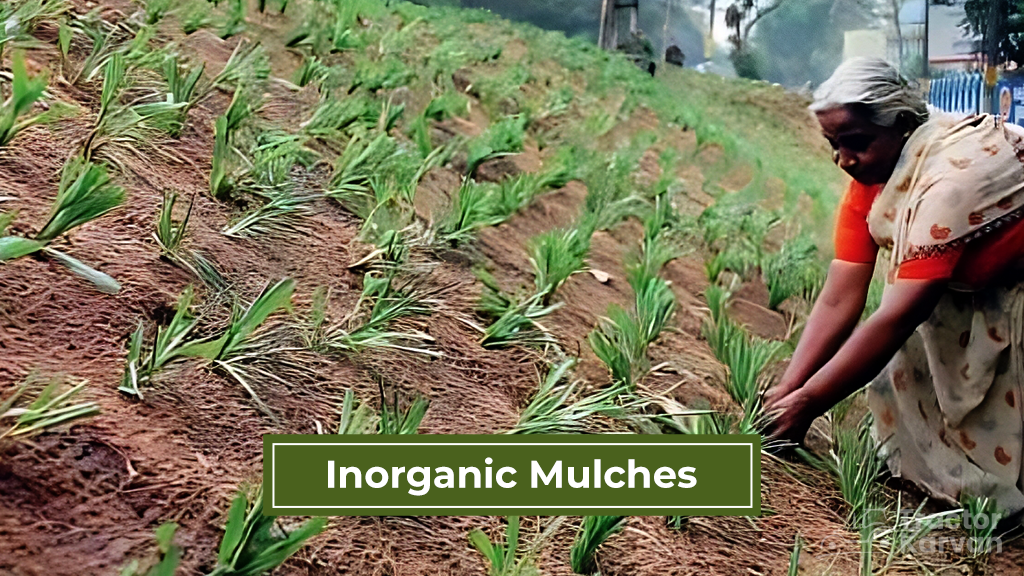Mulch Types - Inorganic Mulches