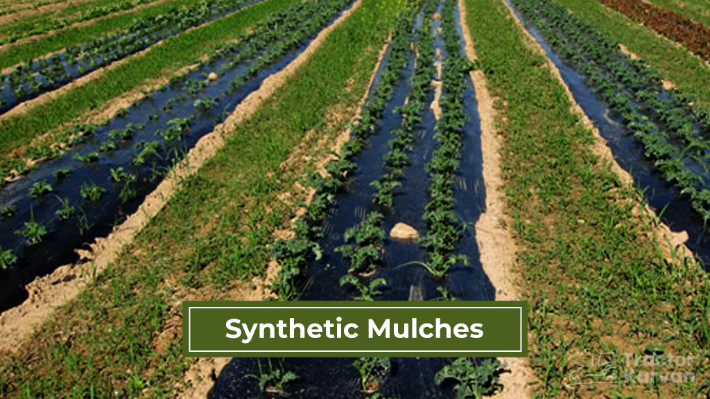 Mulch Types - Synthetic Mulches