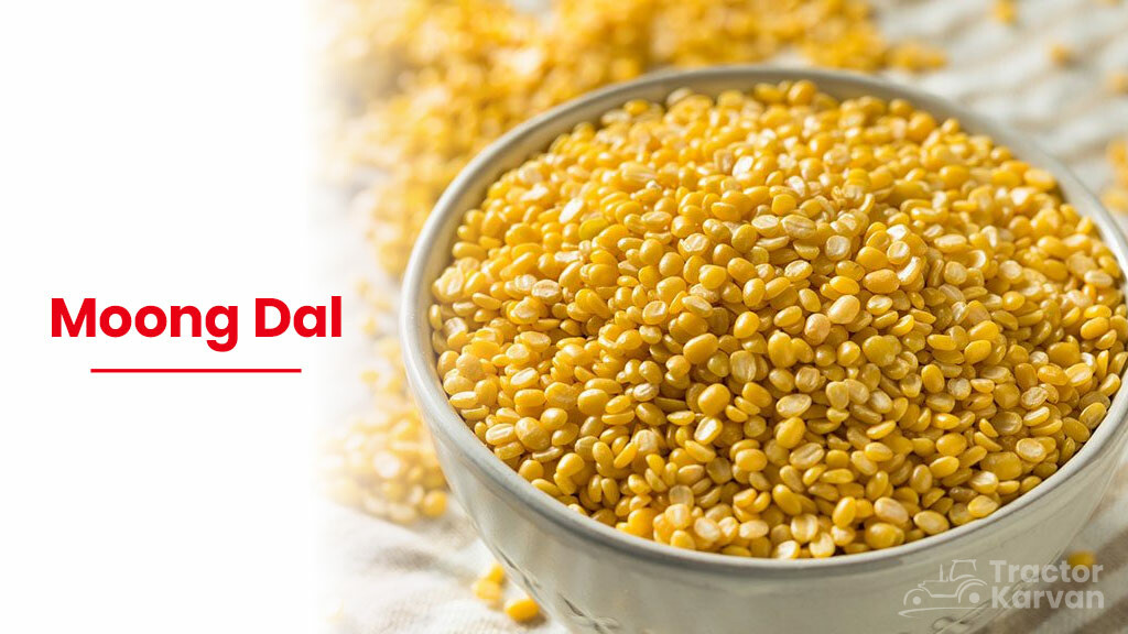 Types of Pulses - Moong Dal