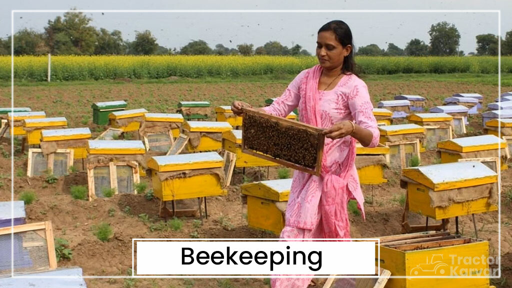 Animal Husbandry Types - Beekeeping