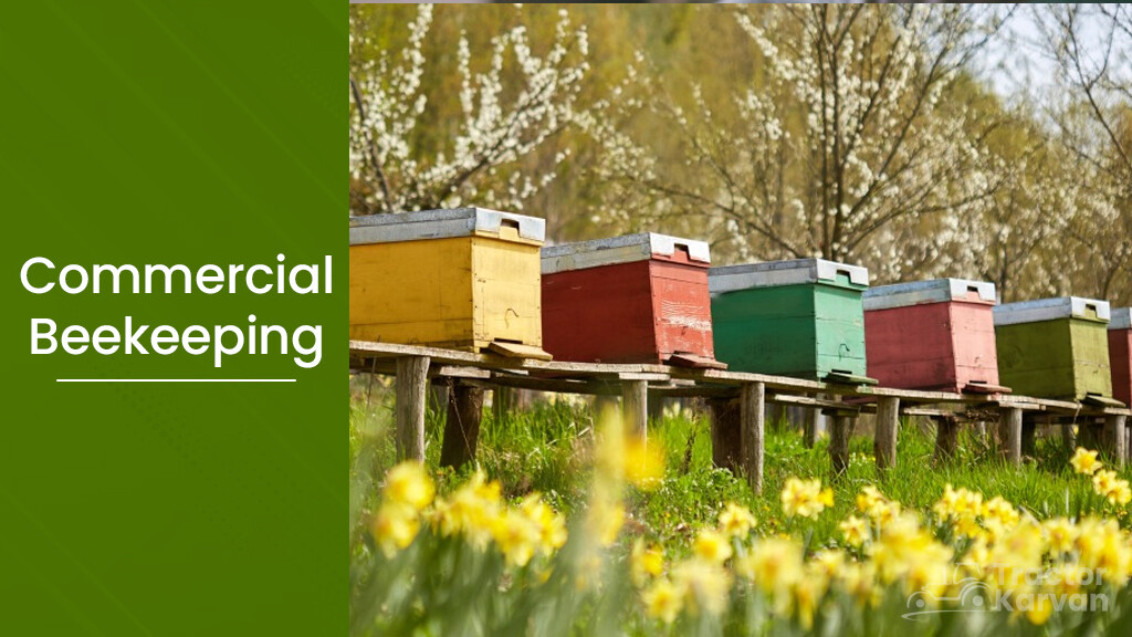 Apiculture - Commercial Beekeeping