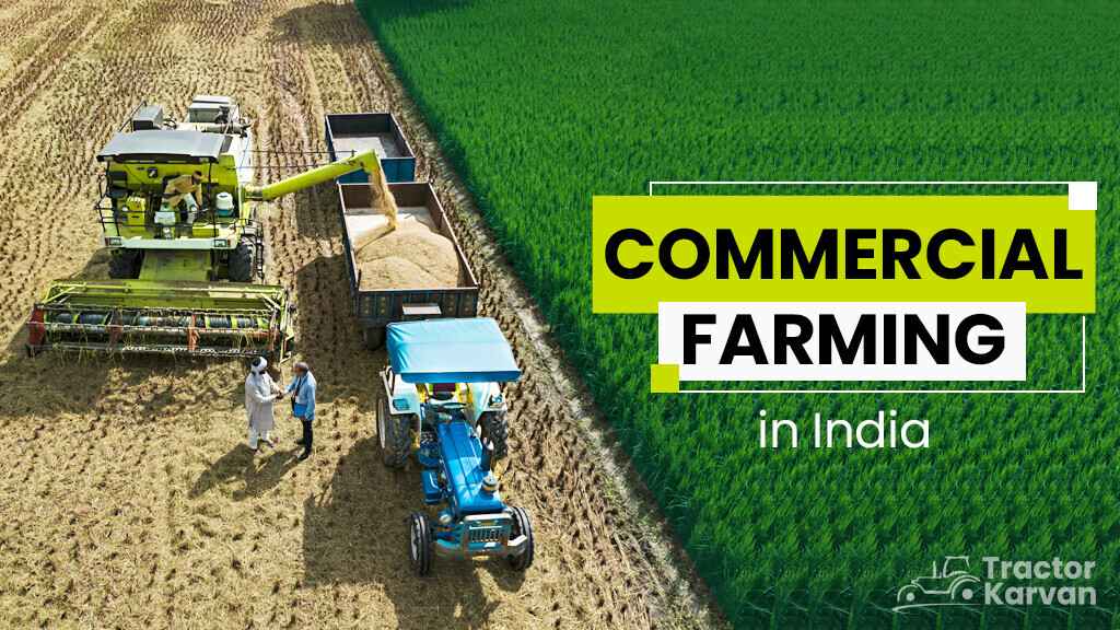 essay on commercial farming