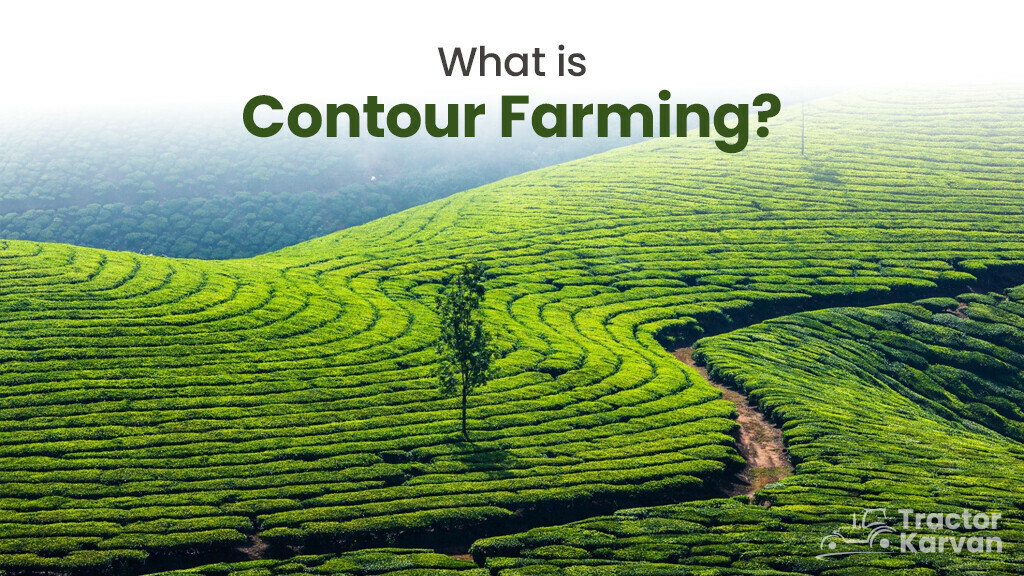 contour farming definition