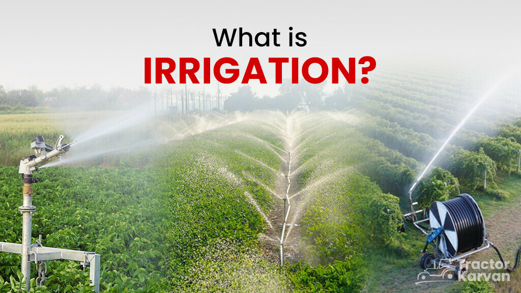 What is Irrigation Types, Methods and Importance