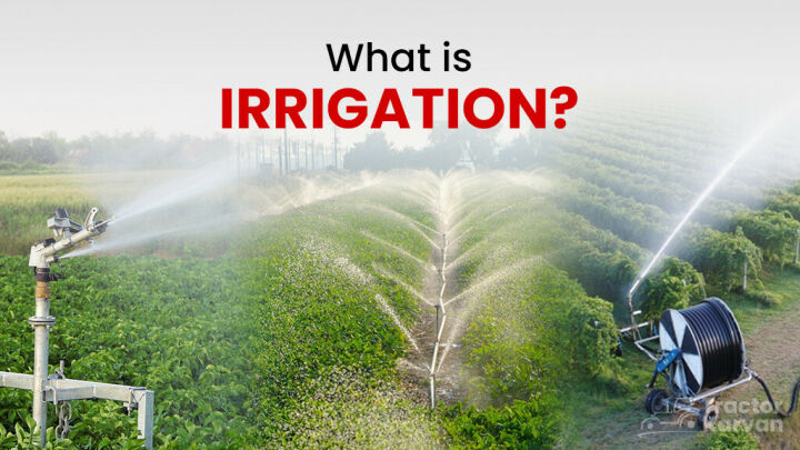 What is Irrigation - Types, Methods and Importance