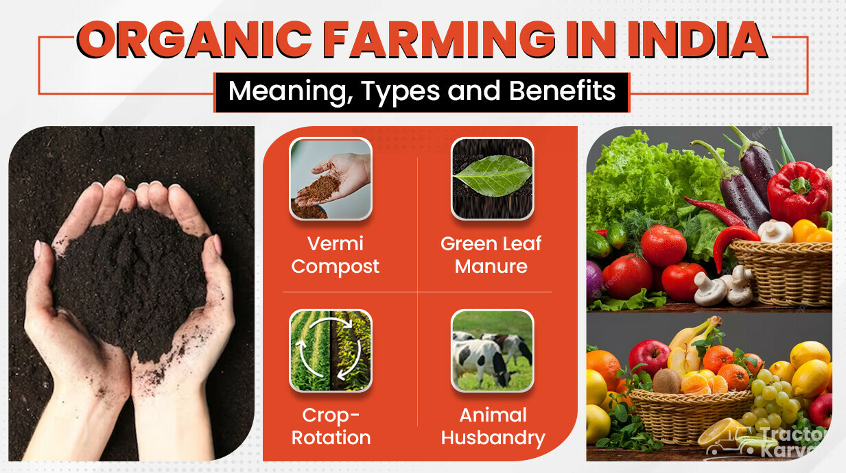 Organic Farming Meaning Types Benefits Importance