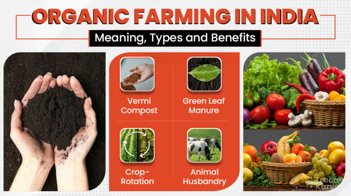 Organic Farming in India - Meaning, Types and Benefits Article
