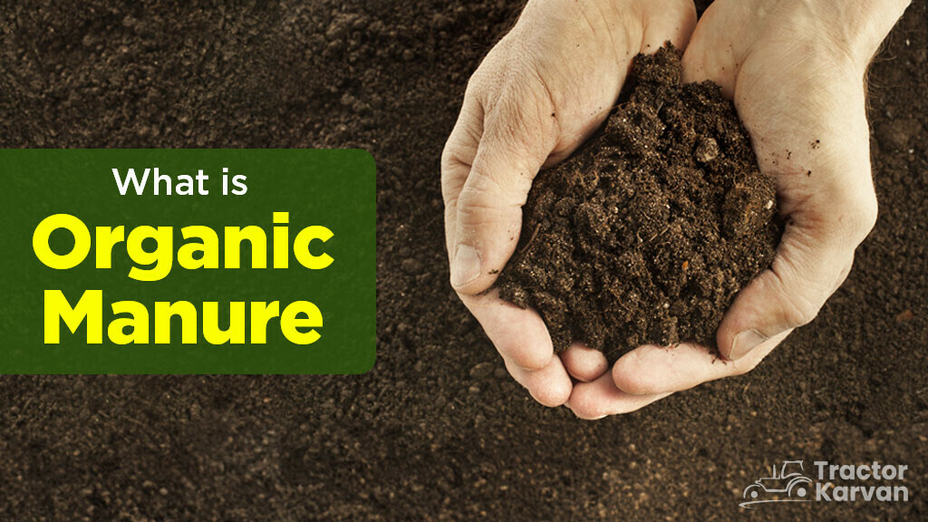 What Is Organic Manure Type Importance