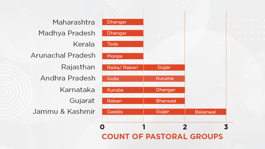 state wise pastoral groups