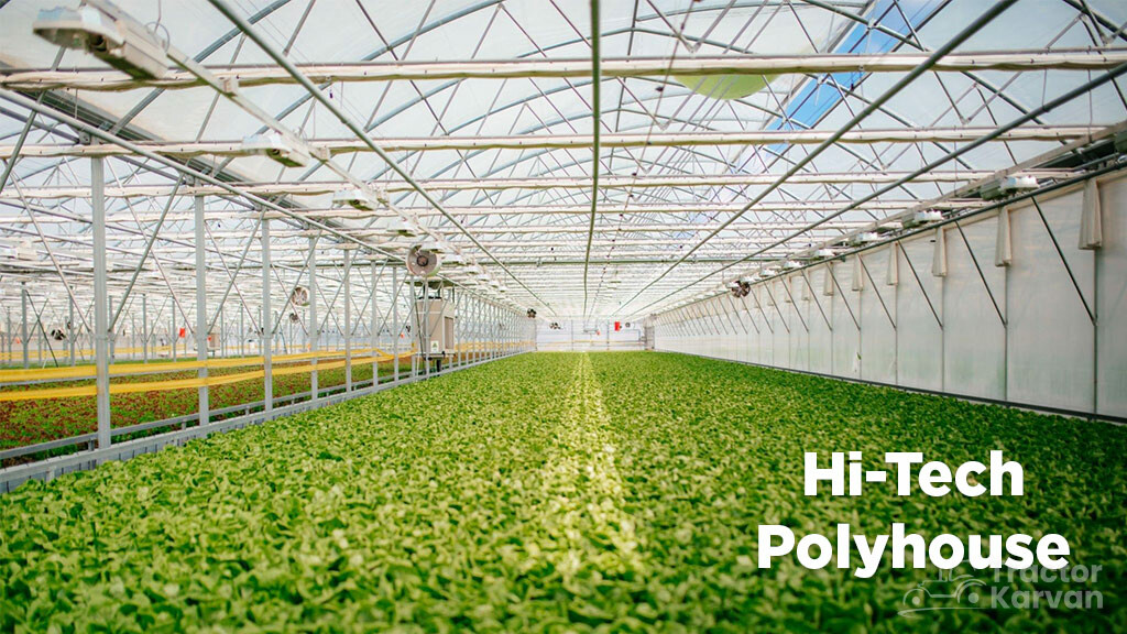 What is Polyhouse Farming Benefits & Types