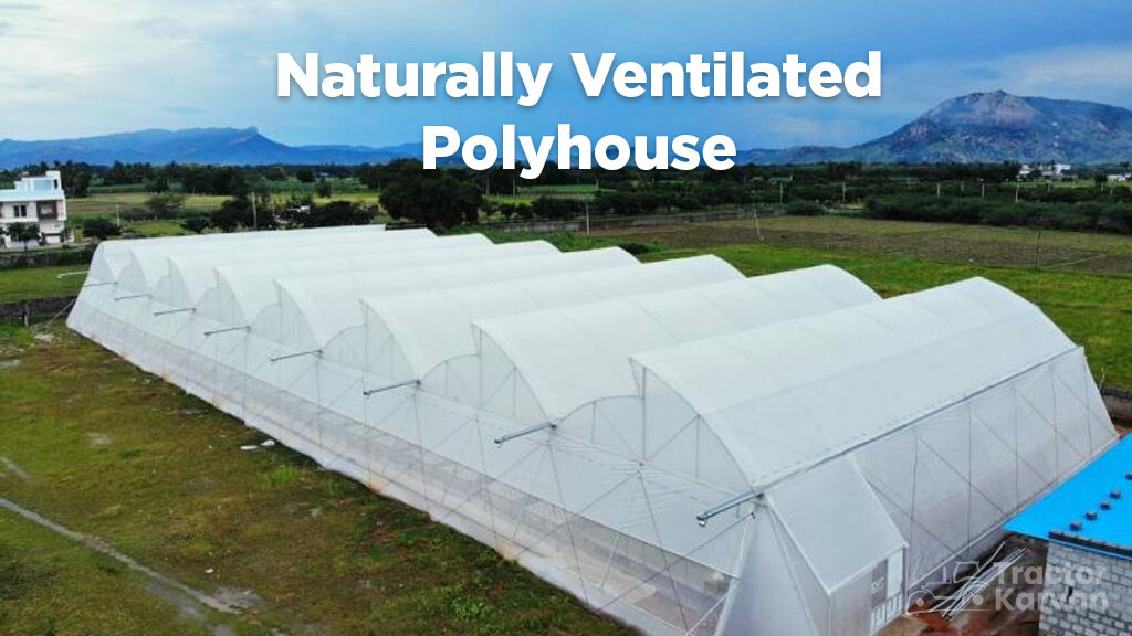What is Polyhouse Farming Benefits & Types