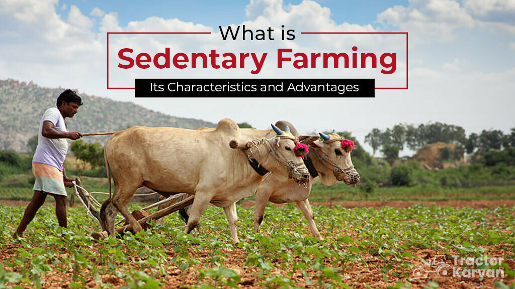 sedentary farming