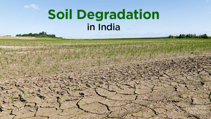 what-is-soil-degradation-in-india-causes-solutions