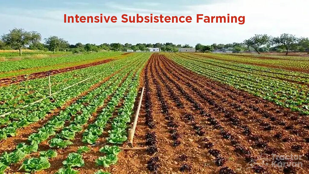 Subsistence Farming Types - Intensive