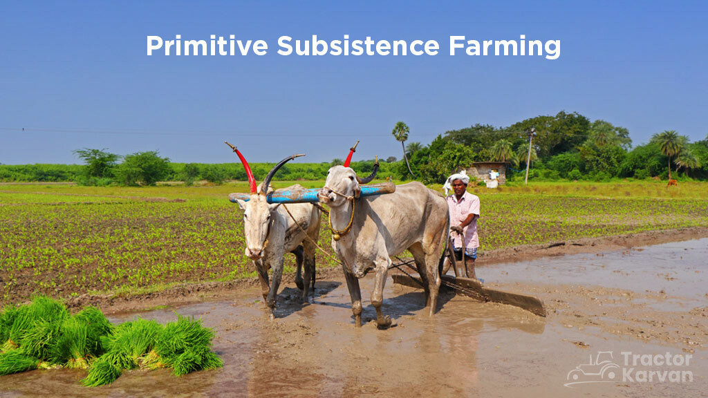Subsistence Farming Types - Primitive
