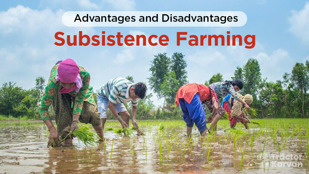 primitive subsistence farming