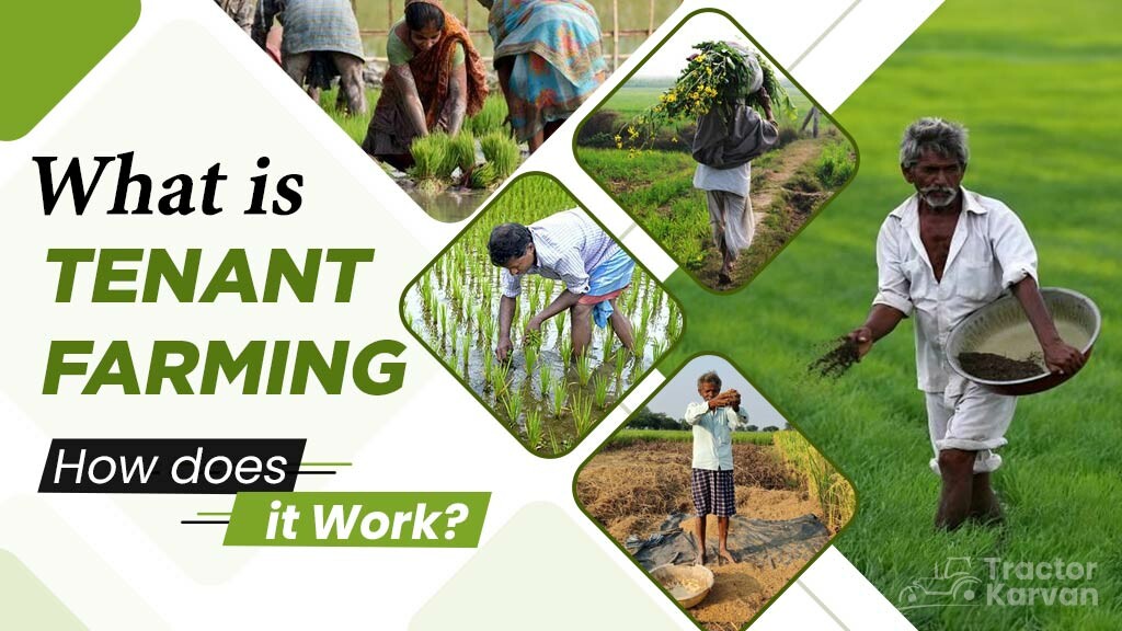 what-is-tenant-farming-and-how-does-it-work