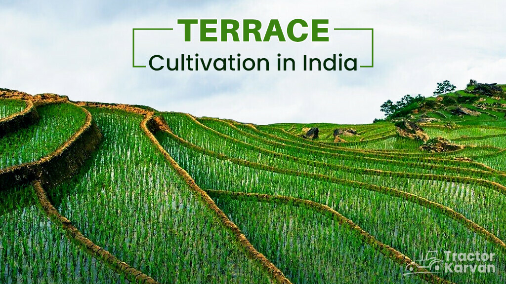 What is Terrace Cultivation, Use and Benefits Tractorkarvan